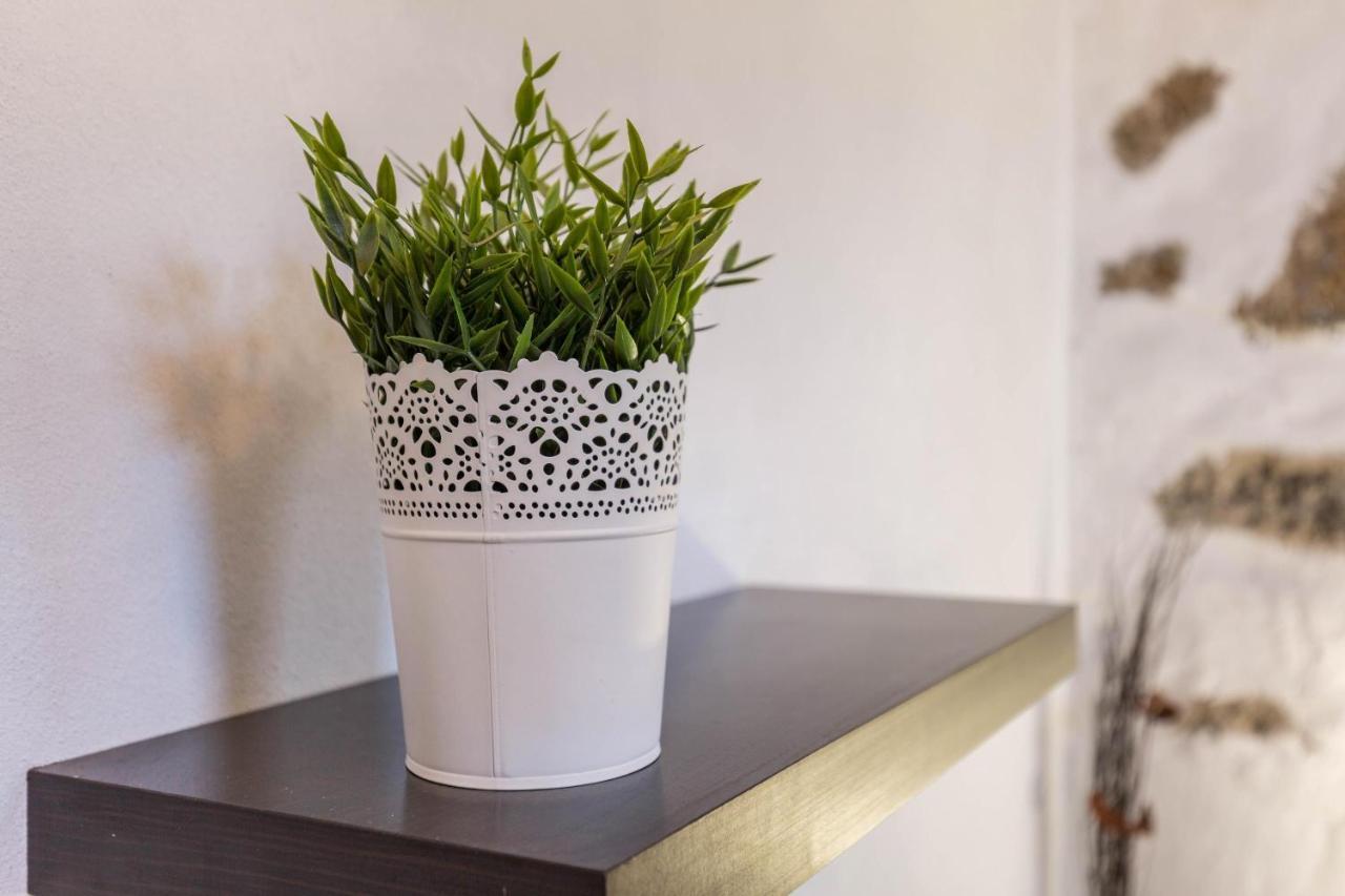 Ferienwohnung Eden Ecologico En Casa La Fuentita El Charco  Exterior foto